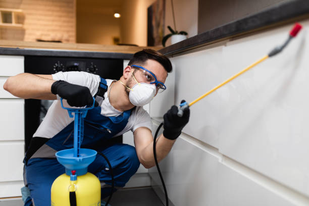 Best Affordable Pest Control Services  in Stuart, IA