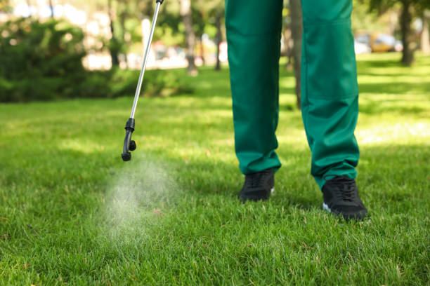 Best Pest Removal Services  in Stuart, IA