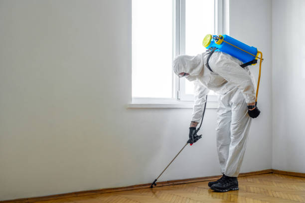 Best Termite Control Services  in Stuart, IA