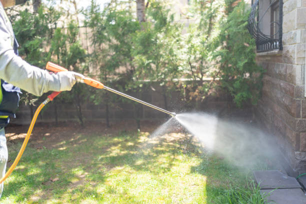 Best Pest Control Treatment  in Stuart, IA