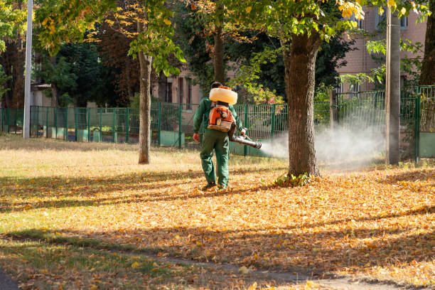 Best Wasp Removal Services  in Stuart, IA