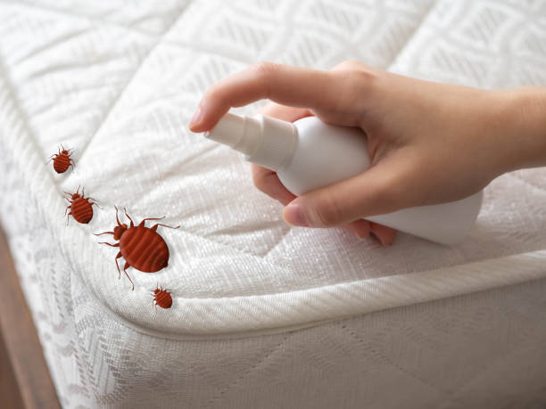Best Mosquito Control Services  in Stuart, IA