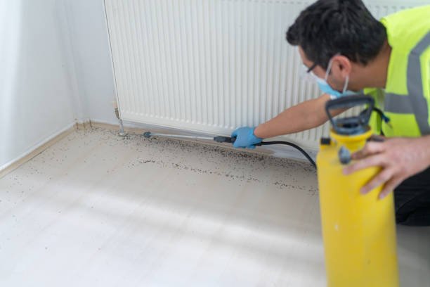 Best Pest Control Cost  in Stuart, IA