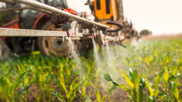Best Best Pest Control Companies  in Stuart, IA